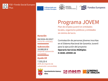 Imagen Plan de empleo juvenil en entidades locales, organismos públicos y...